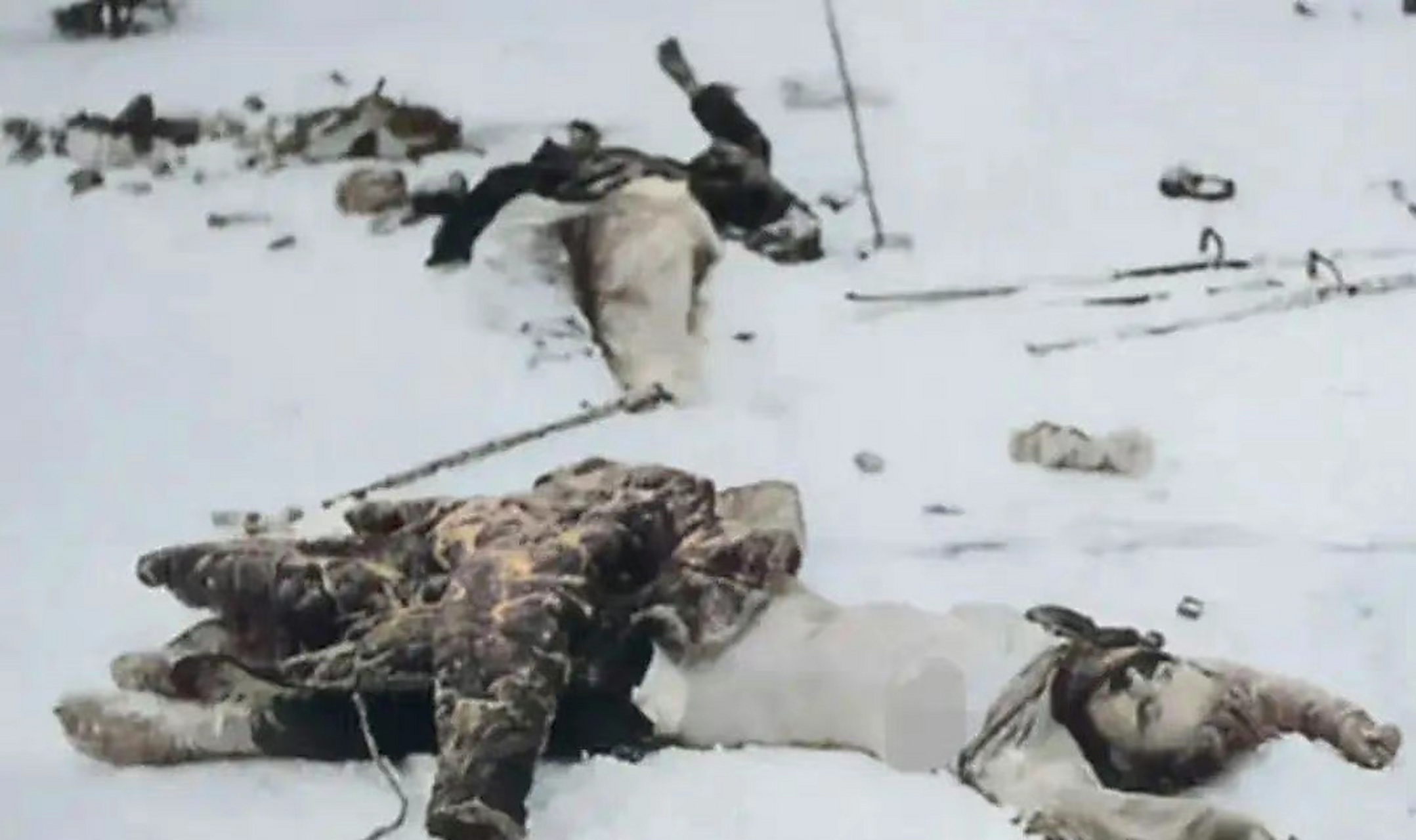 1942年,斯大林格勒郊外,一名苏联女兵阵亡后,被敌人扒