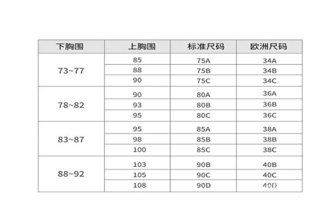 40e胸围图片