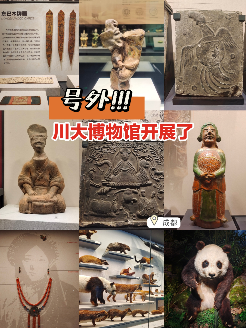 西南天地,云汇大川.有百年历史的四川大学博物馆重新开馆了,得到消息,