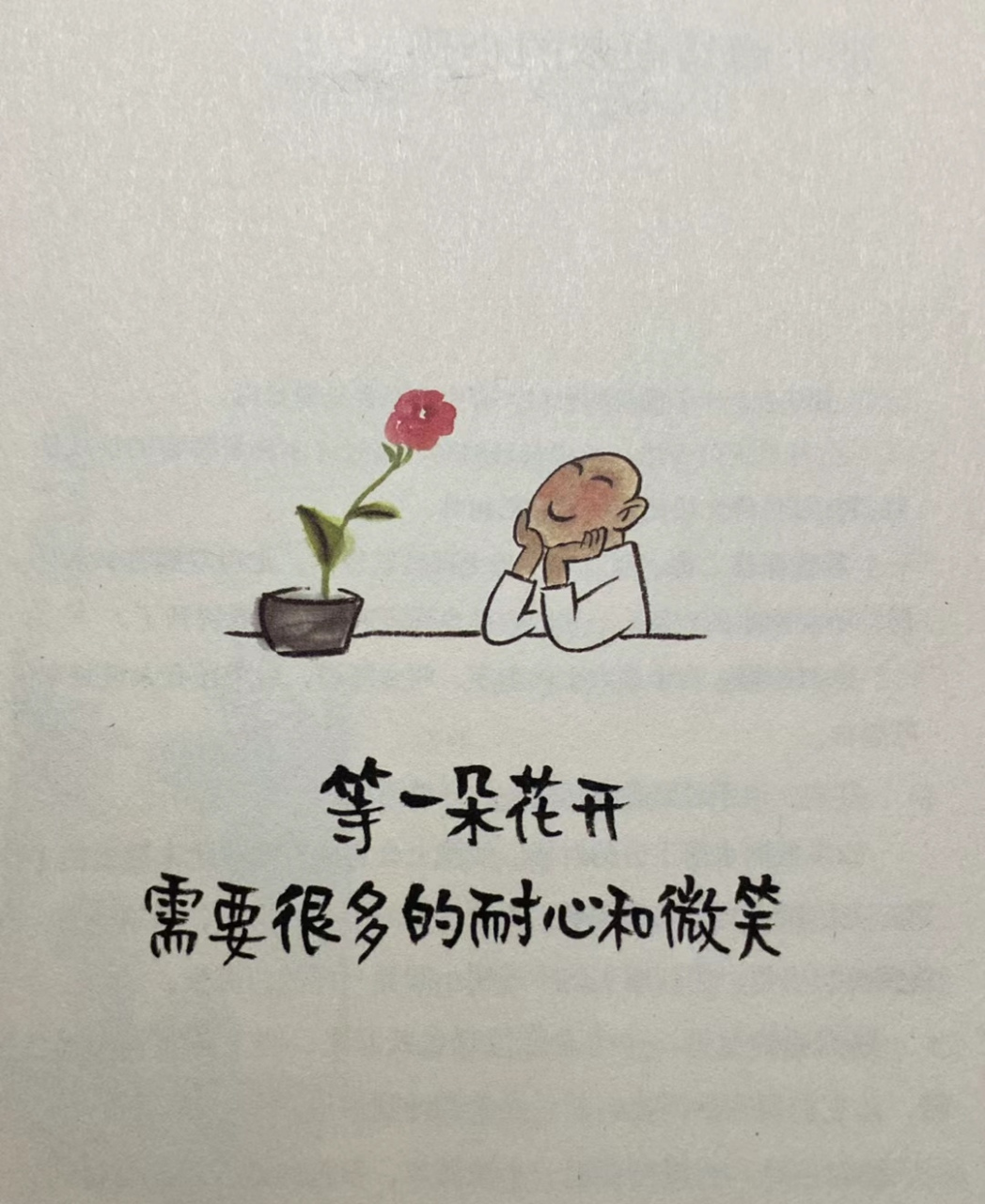 花知道,风来过!
