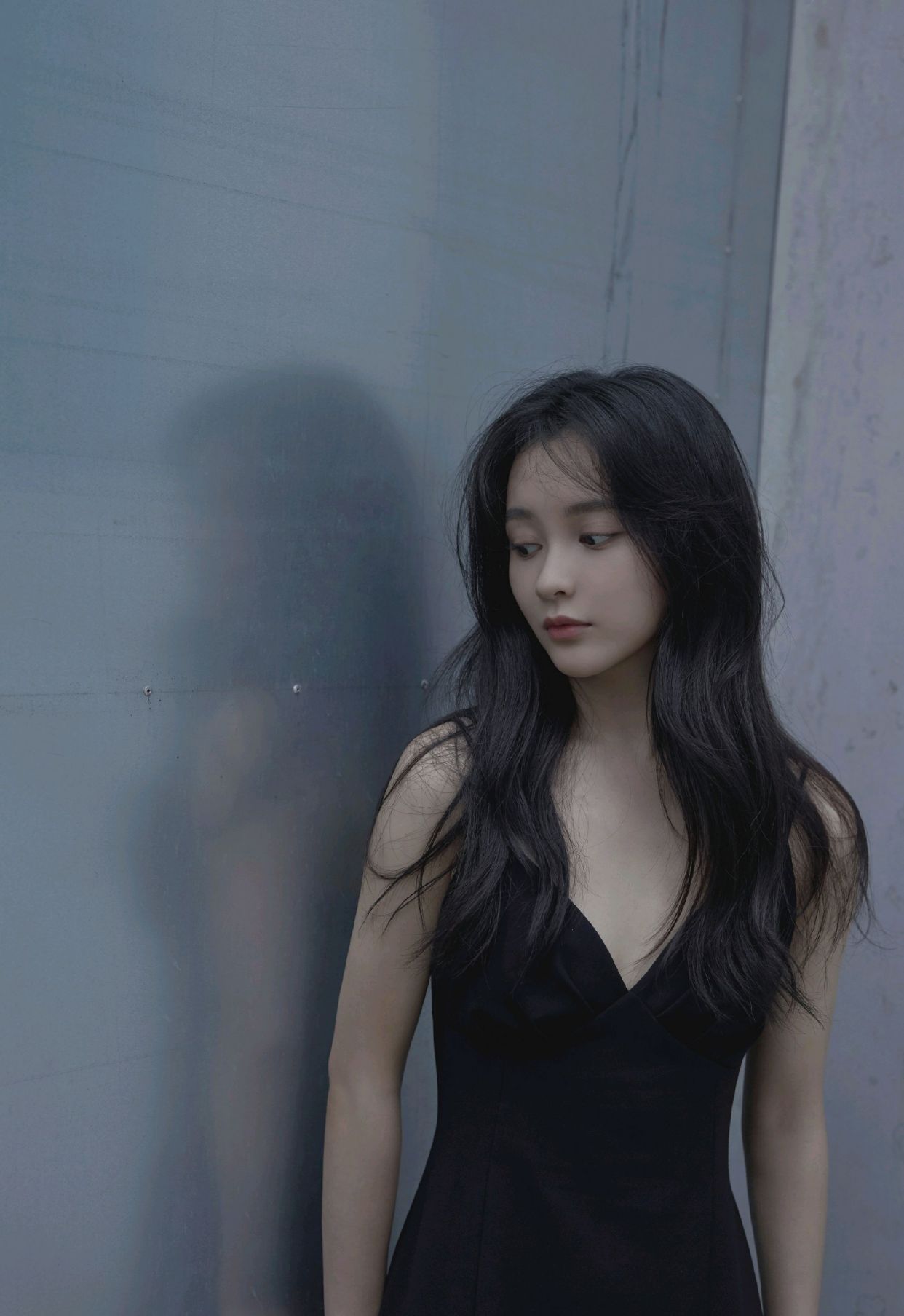 明星写真美图|王一菲