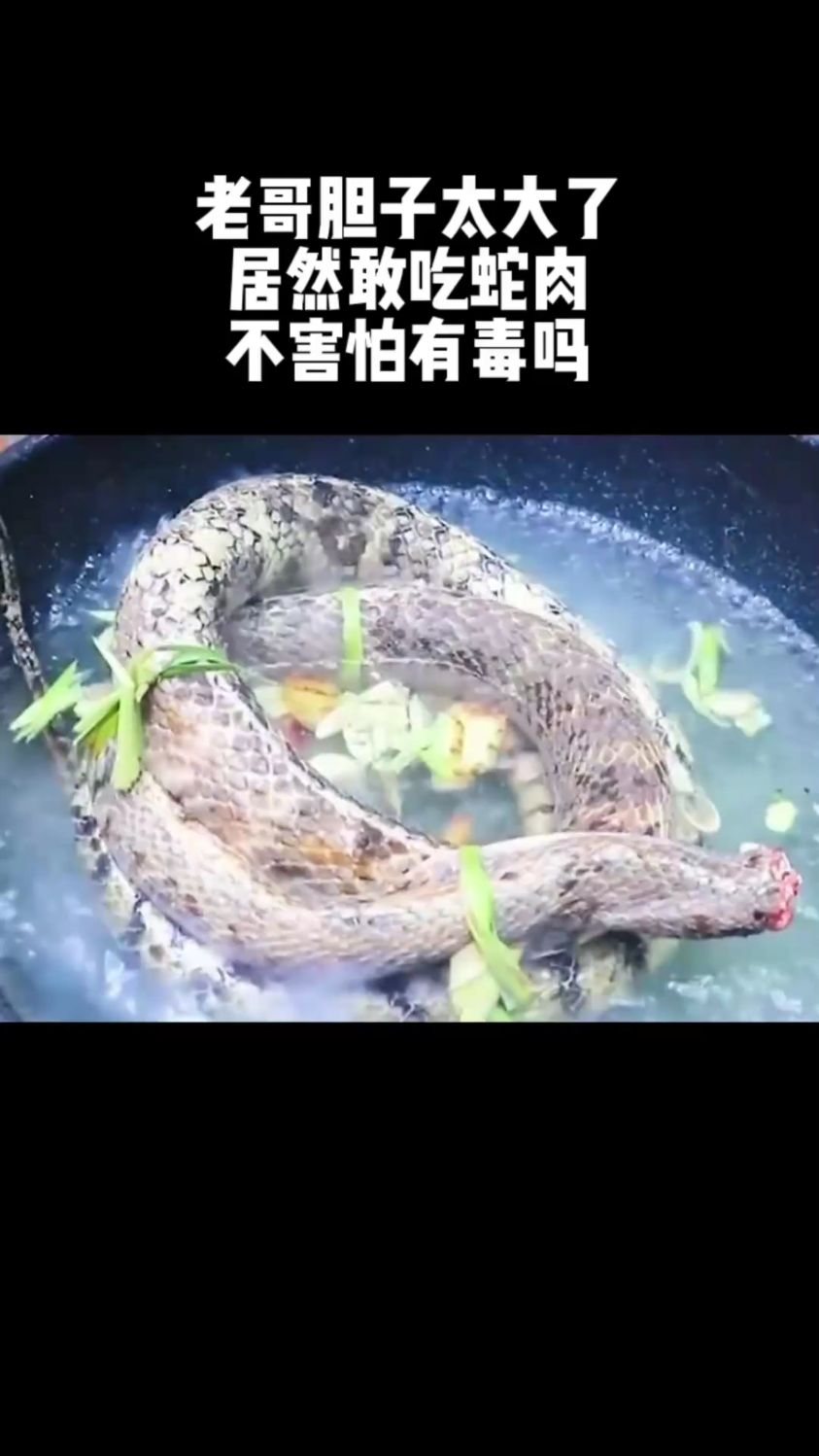 老哥胆子太大了,居然敢吃蛇肉,不害怕有毒吗