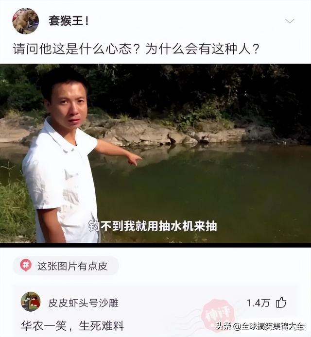 媳妇