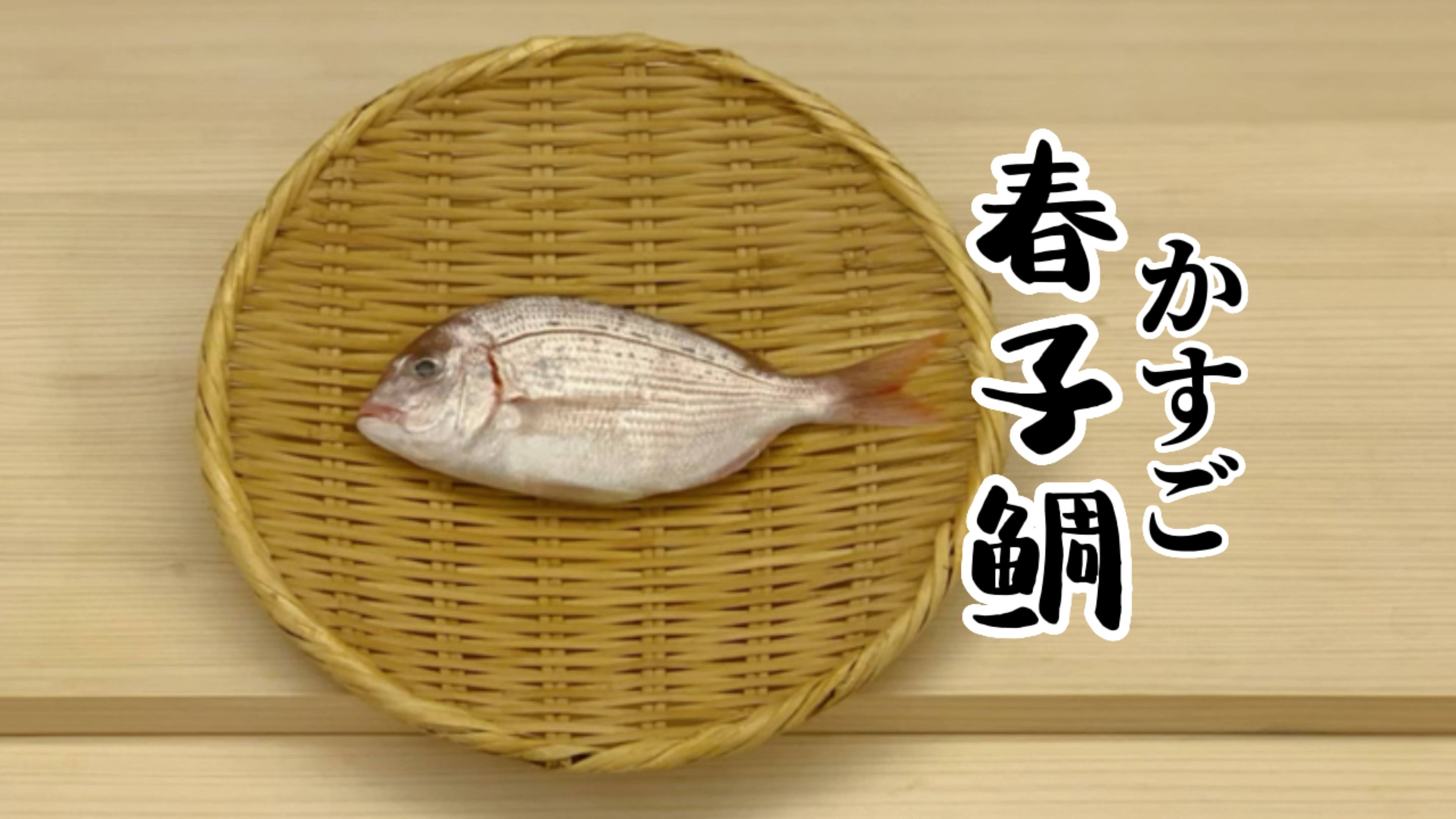 春子鲷—寿司制作