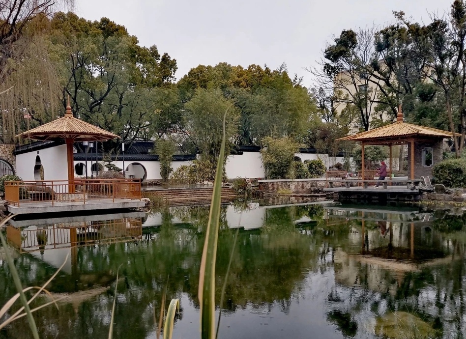 上海徐汇东安公园令人深深陶醉