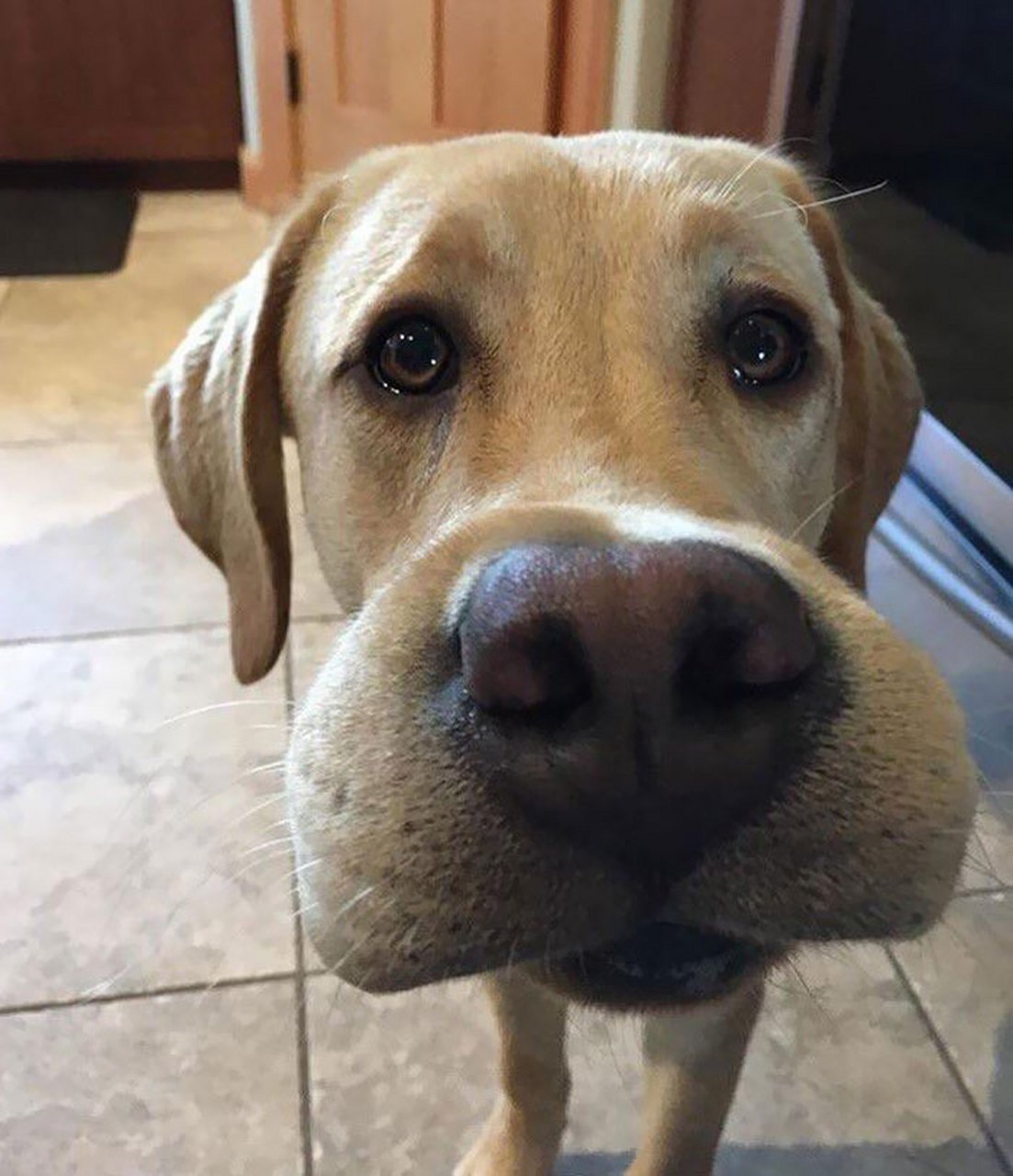 今年暑期票房178亿,创造了历史记录,按理说应该是好事