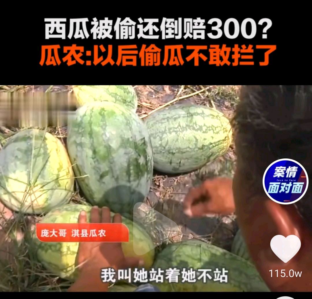 自己种的西瓜被偷,反而倒赔300元?庞大爷;以后偷瓜不敢拦了