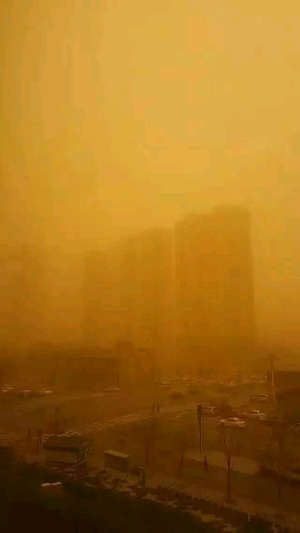 沙尘暴,扬沙天气与植树造林和生态治理,其实并没有多大关系