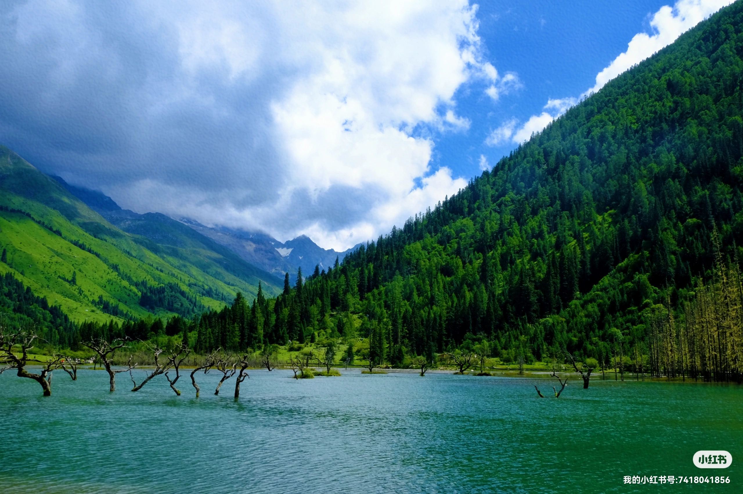 双桥沟——川西小瑞士的梦幻之境—攻略