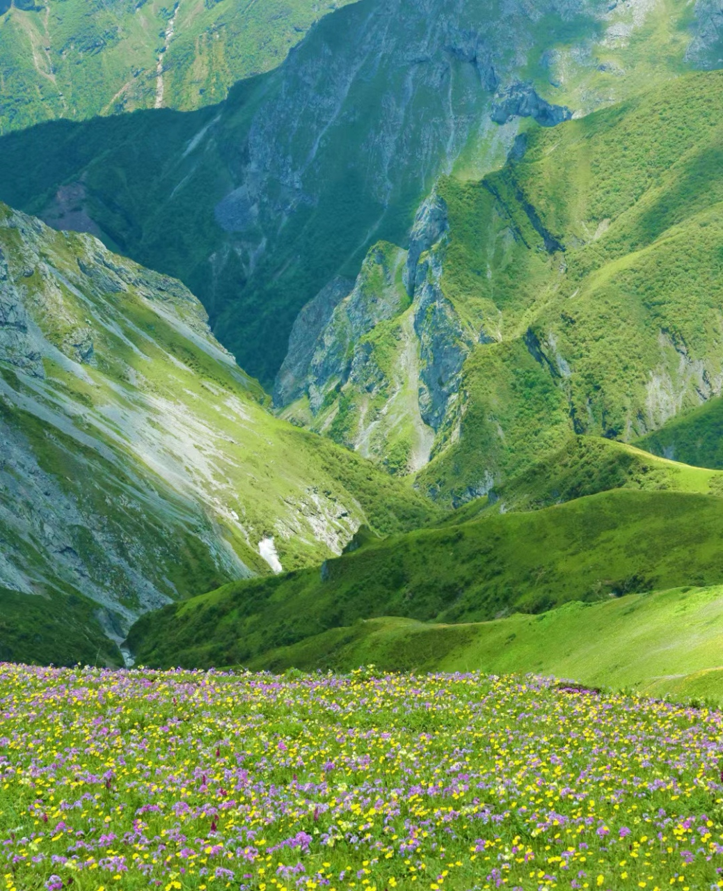 还有三周左右的时间,九顶山花海就不再盛开了,两天时间就能看到花海