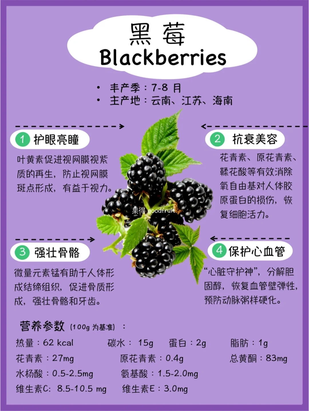 五大莓果的营养功效