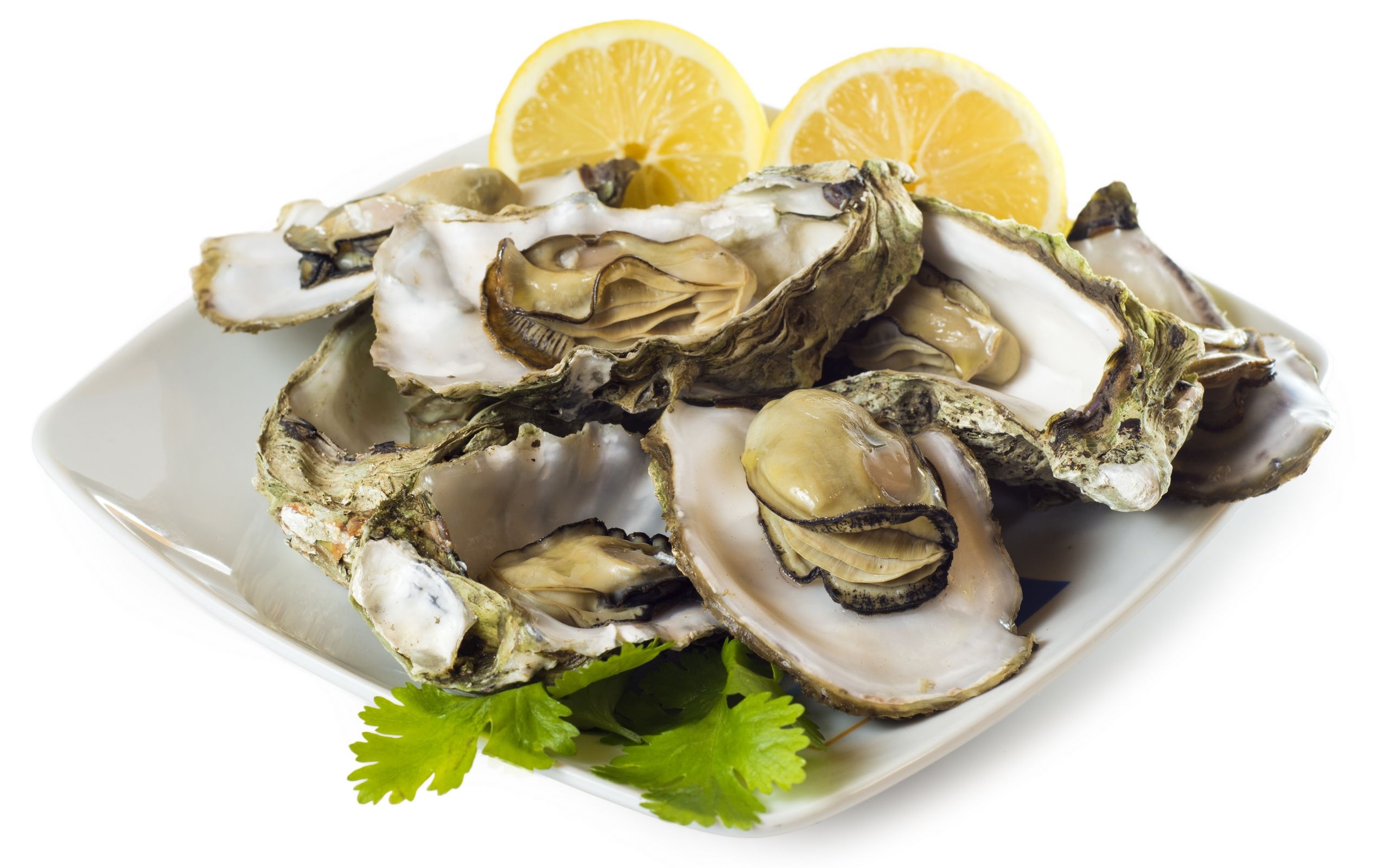 听说牡蛎是胰岛素的平衡器,有利于稳定血糖,是真的吗?看这4点