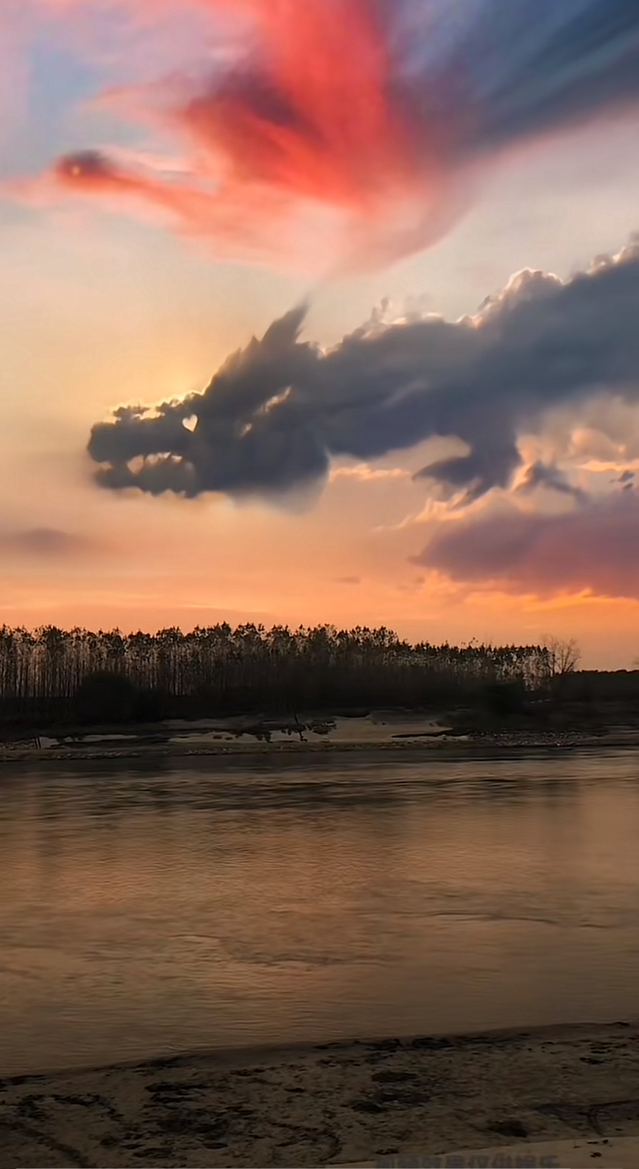 飞龙在天 真实拍照