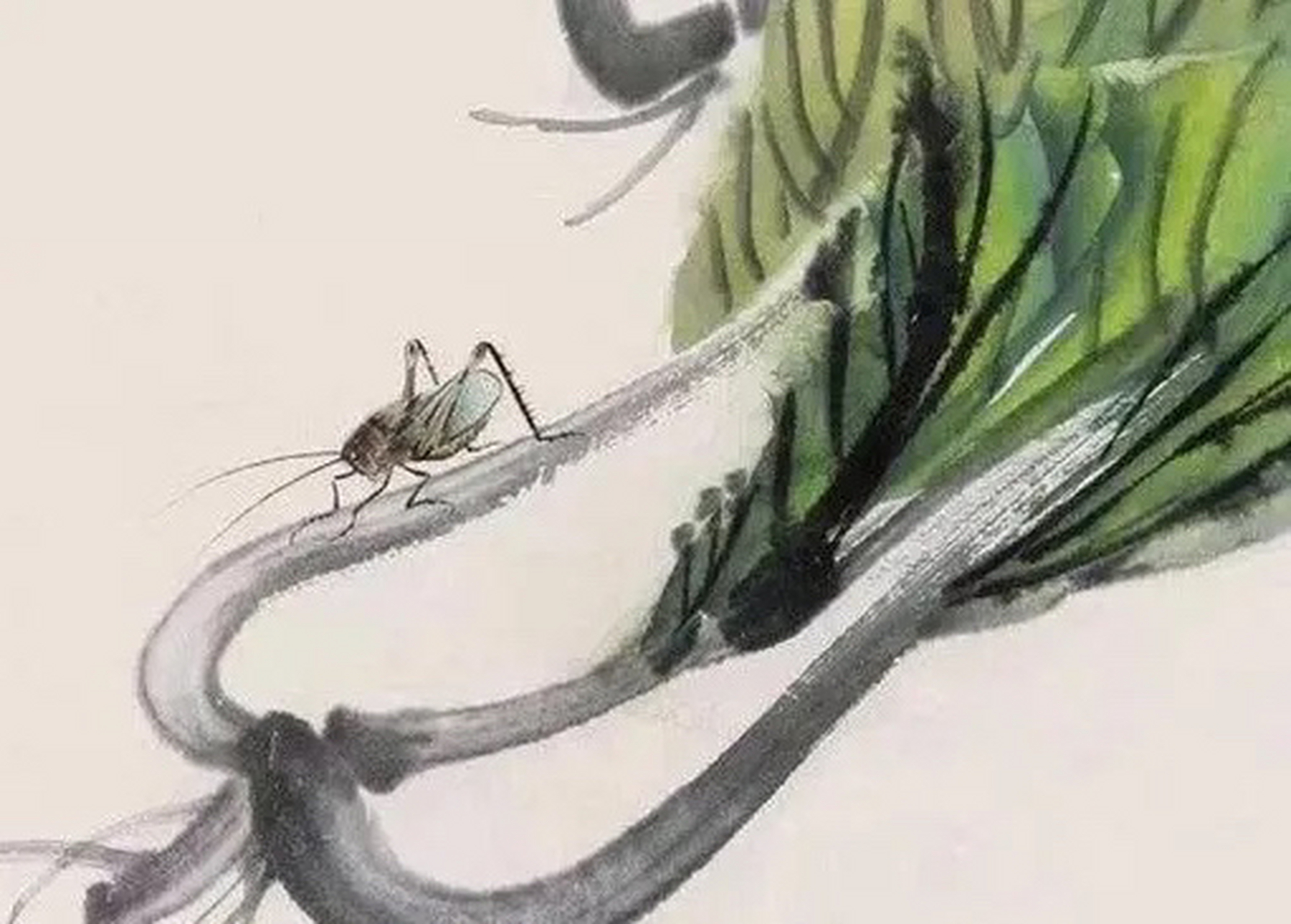 他看到一小伙子的白菜好,便问:"白菜多少钱一颗?
