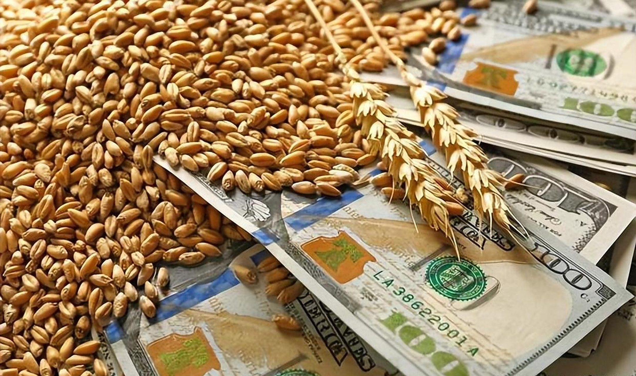 黑海粮食协议对于解决全球粮食危机大有裨益,而且是在联合国的协调