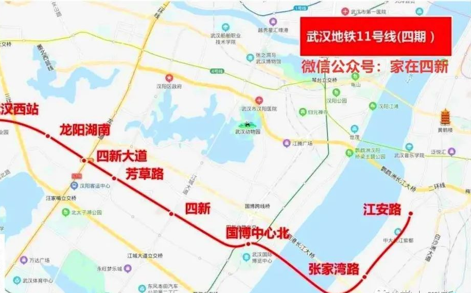 武汉11号线全线图图片