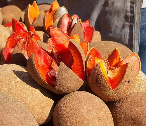 软糯香甜妈咪果