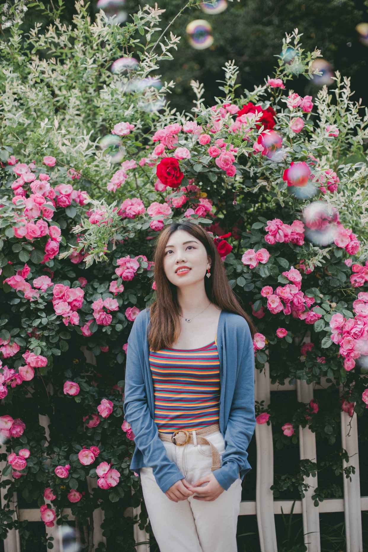 岳麓山蔷薇花高清自拍