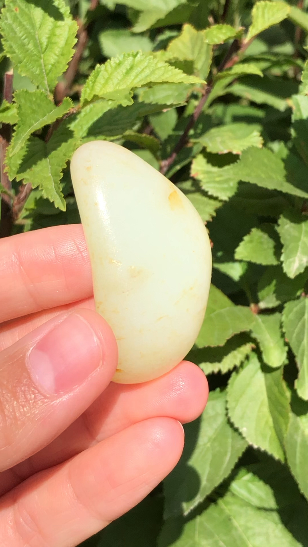 新疆和田玉籽料原石玛丽艳黄白种熟糯-度小视