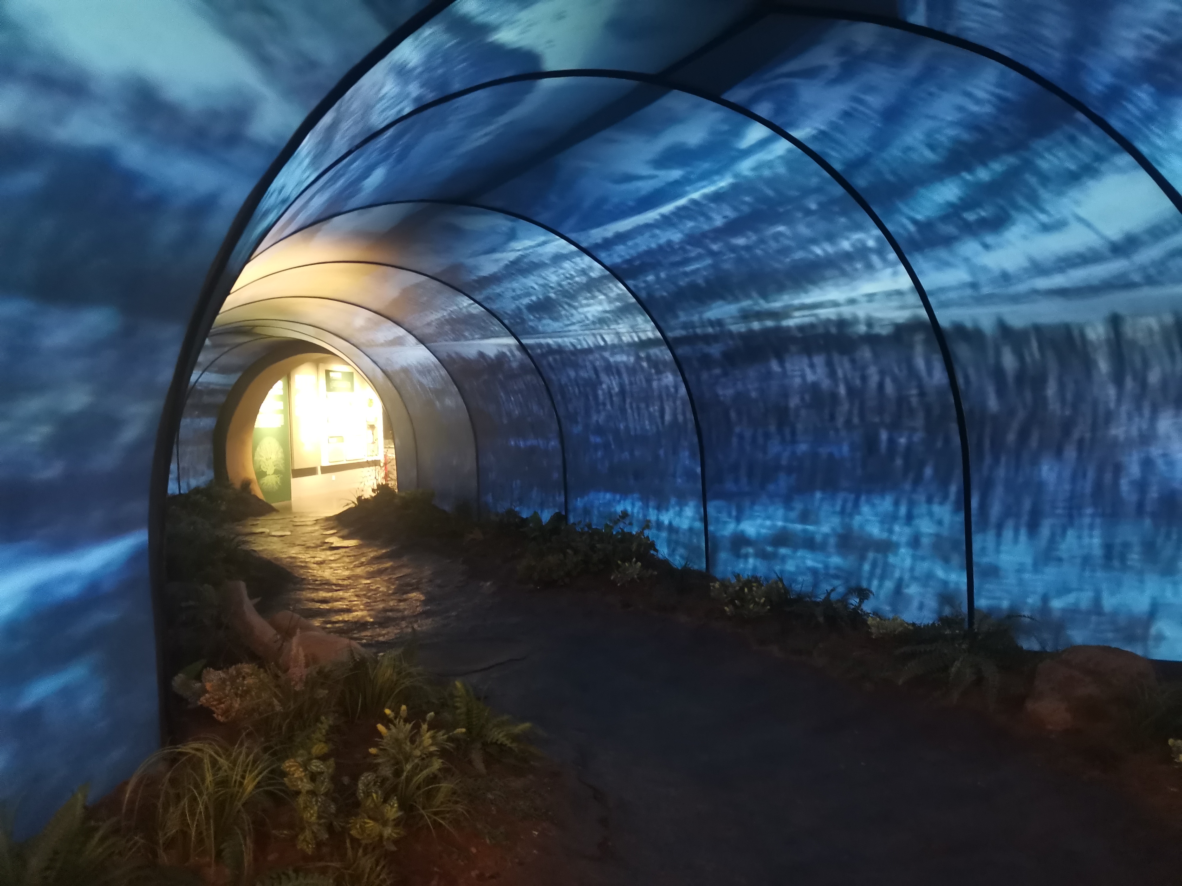 挑战逛遍全国博物馆1:中国(哈尔滨)森林博物馆