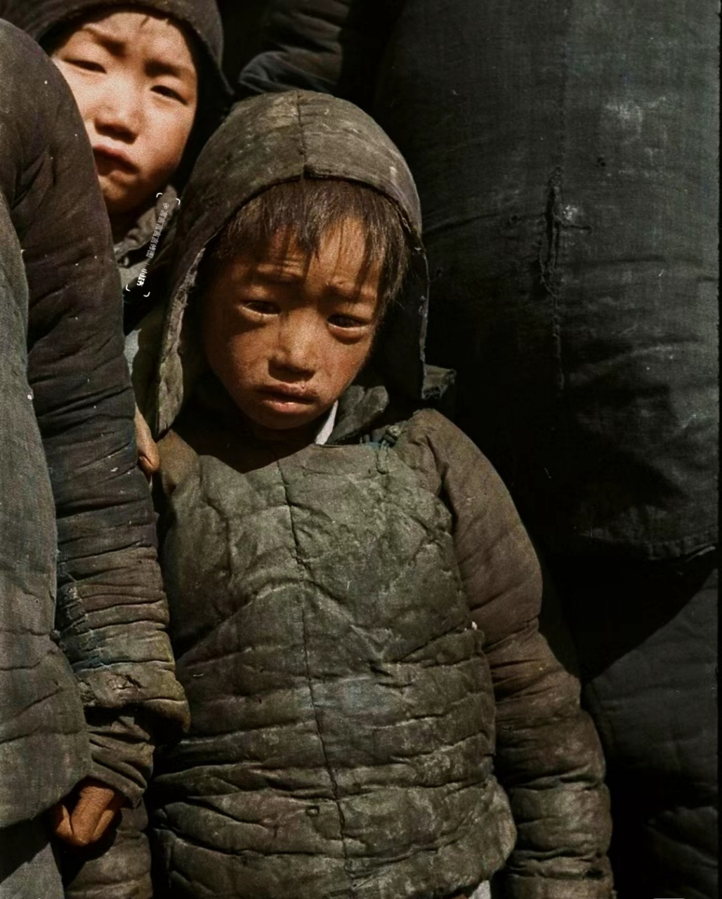 1942年的大灾荒,让许多孩子都成了孤儿流浪,一个个面黄肌瘦,样子看了