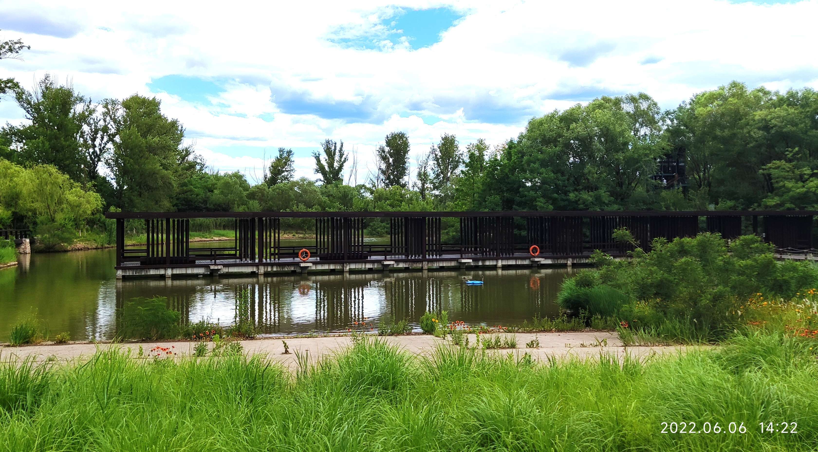 遊覽翠湖國家城市溼地公園