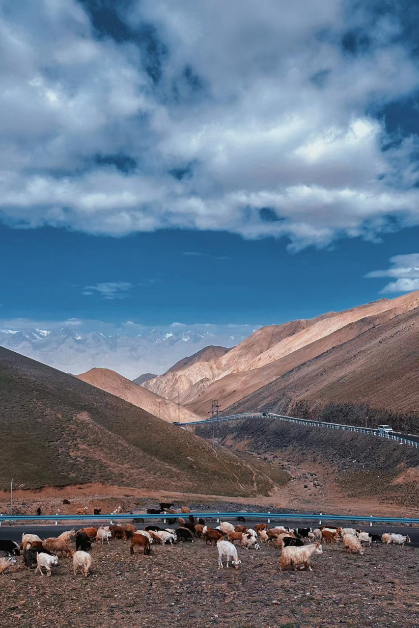 走过所有的弯路之后一片坦途