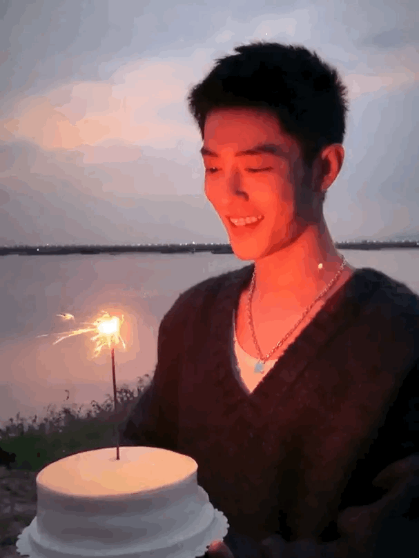 肖战两次烟花动图合集