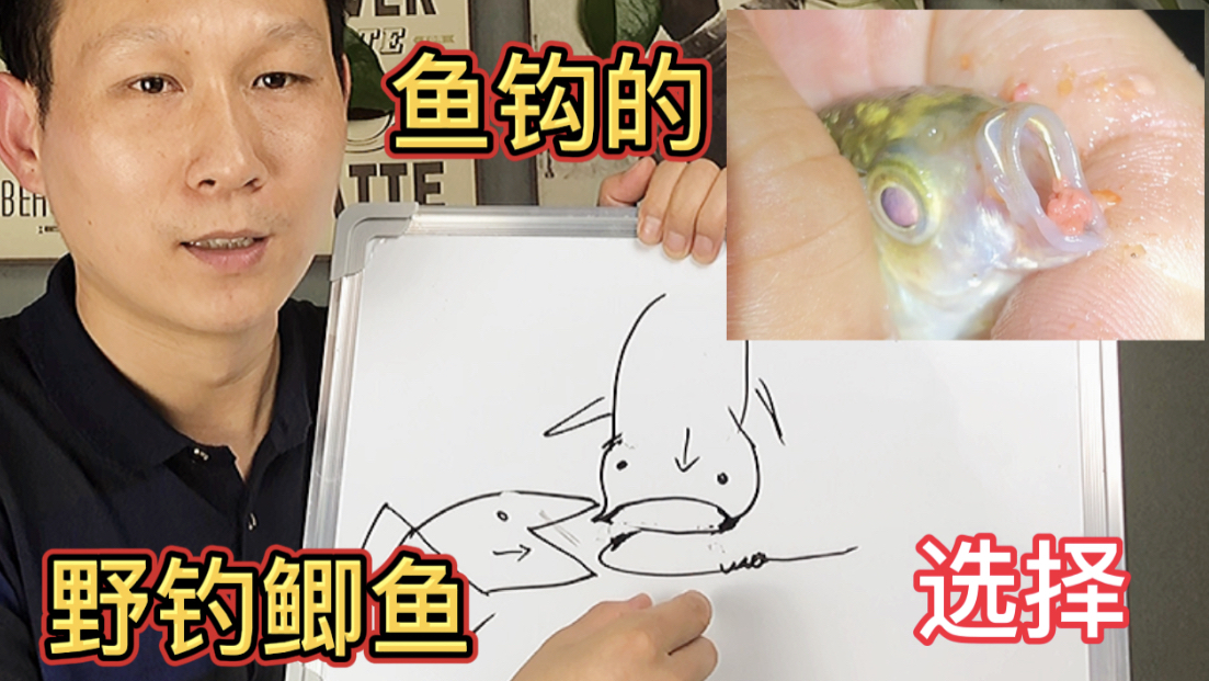 野钓鲫鱼,鱼钩的另一种选择,很多钓友不一定考虑过