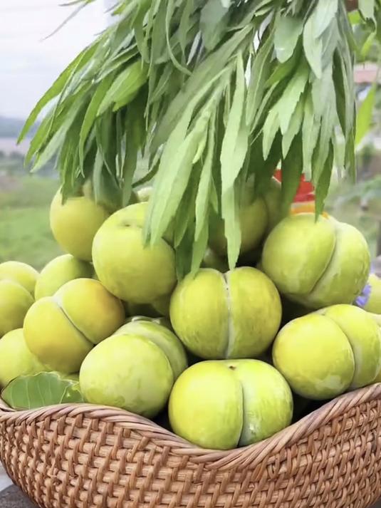 现摘现发的桃花李,酸甜黄金比例,舌尖上的夏日限定美味!