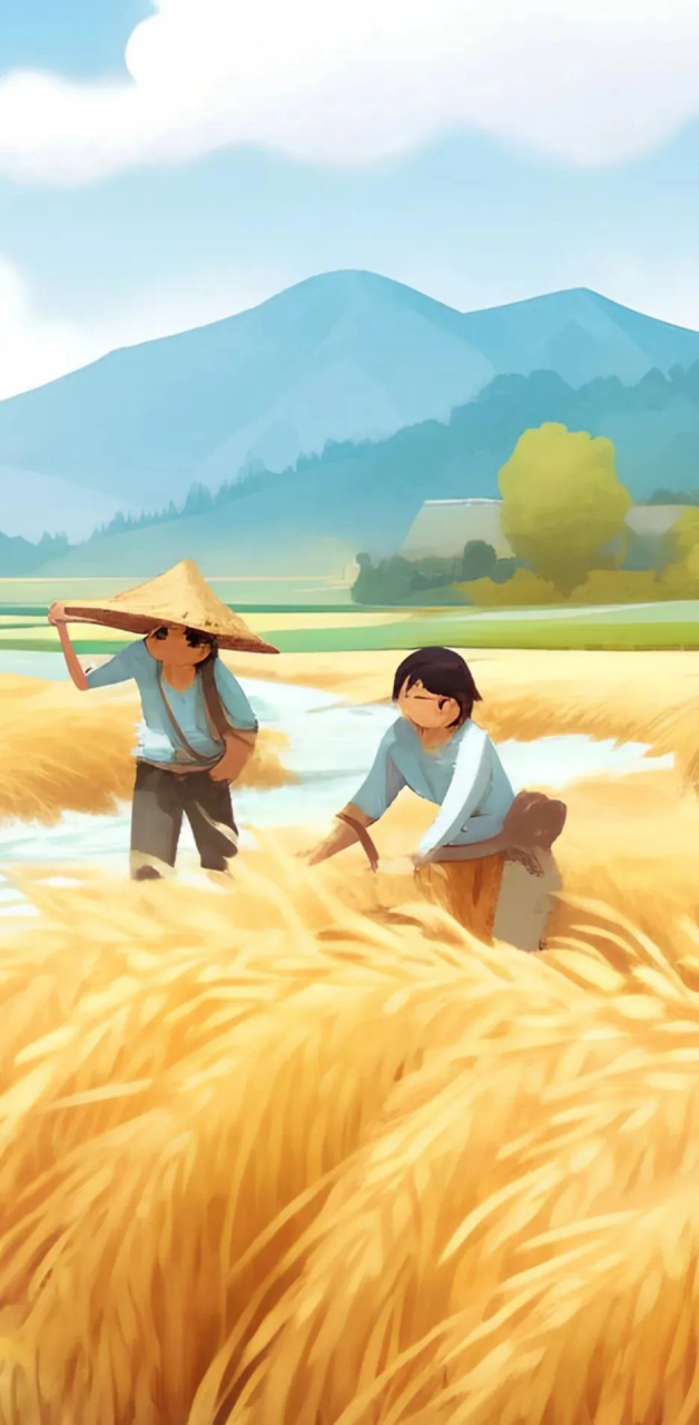 丰收壁纸,年年风调雨顺,年年粮食大丰收