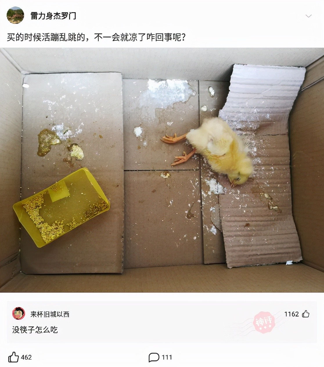 搞笑合集他可能被噎死了他应该得到一些牛奶来治疗
