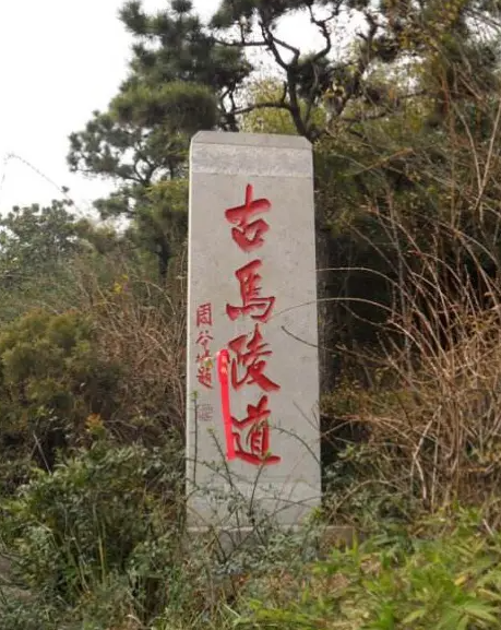 山东郯城马陵古道图片