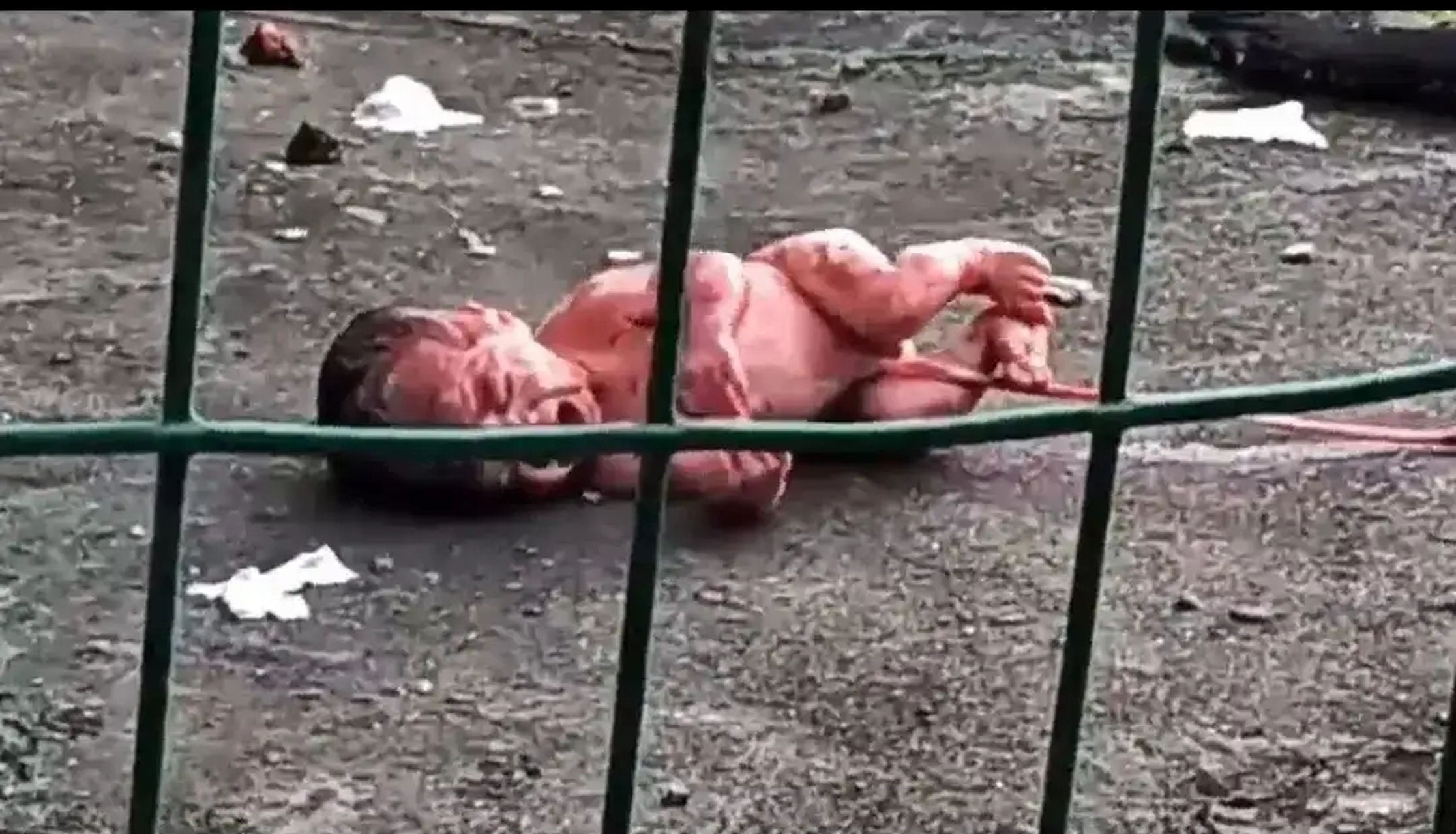 疑似广西某学校,女生宿舍厕所产子,婴儿被丢弃在宿舍楼后的空地上的