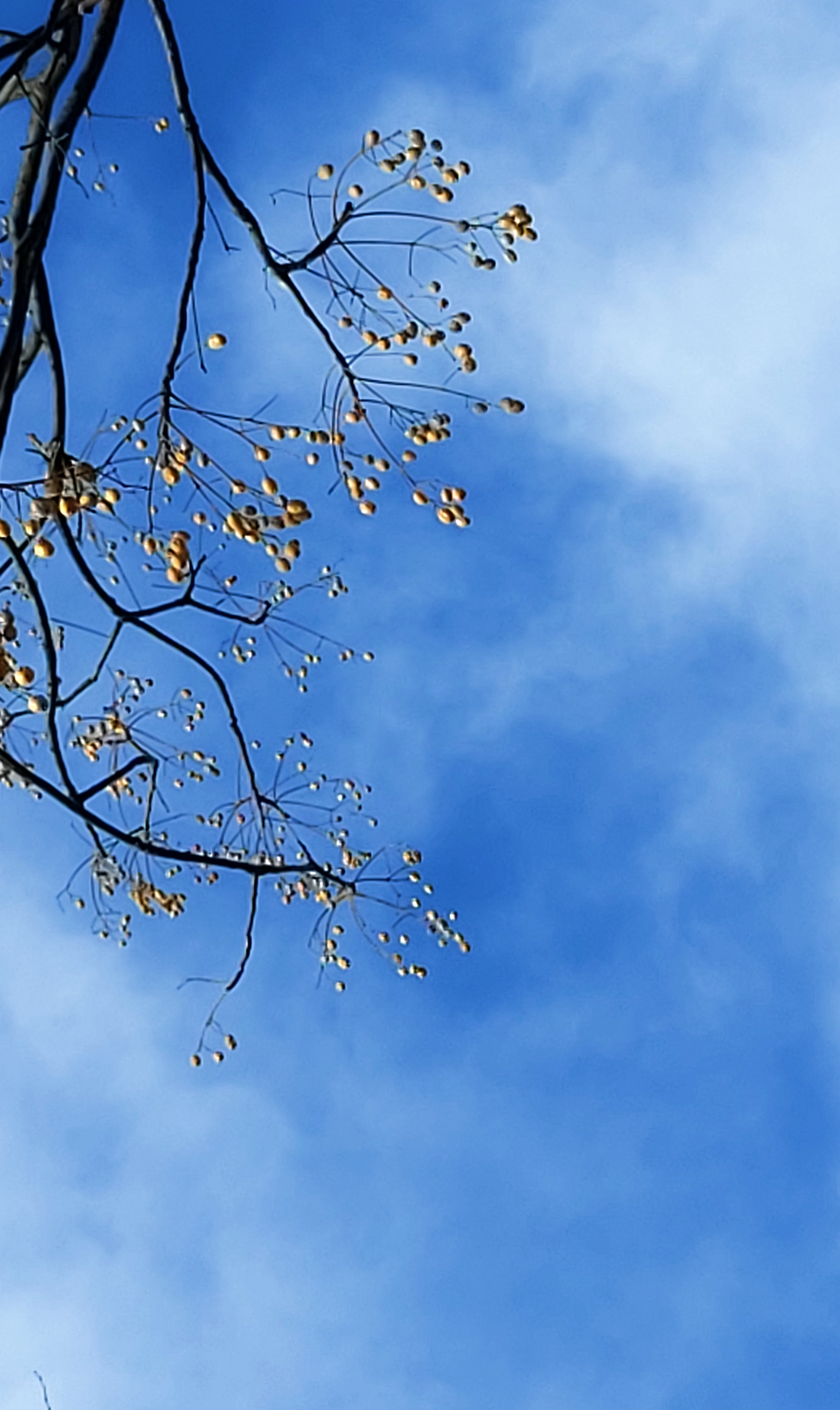 散文:视觉所及,皆是靓丽