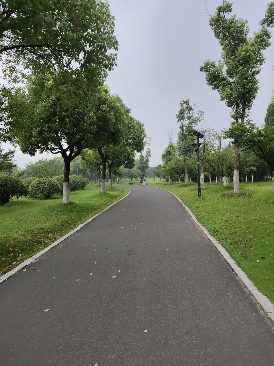 淮安城市里的这片森林公园真的好美呀,空气清新,犹如城市的"绿肺".