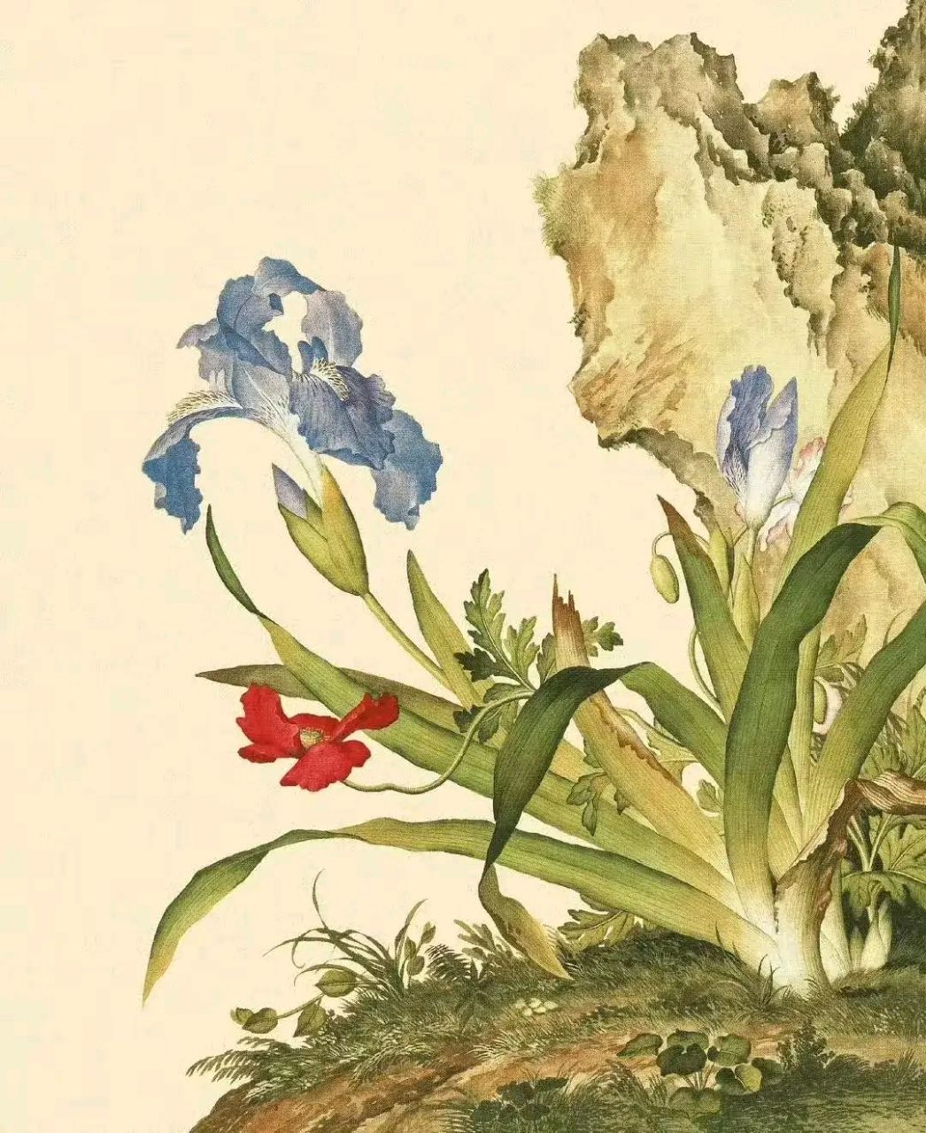 郎世宁 | 花鸟画 郎世宁,原名朱塞佩·卡斯蒂廖内(英文名:giuseppe