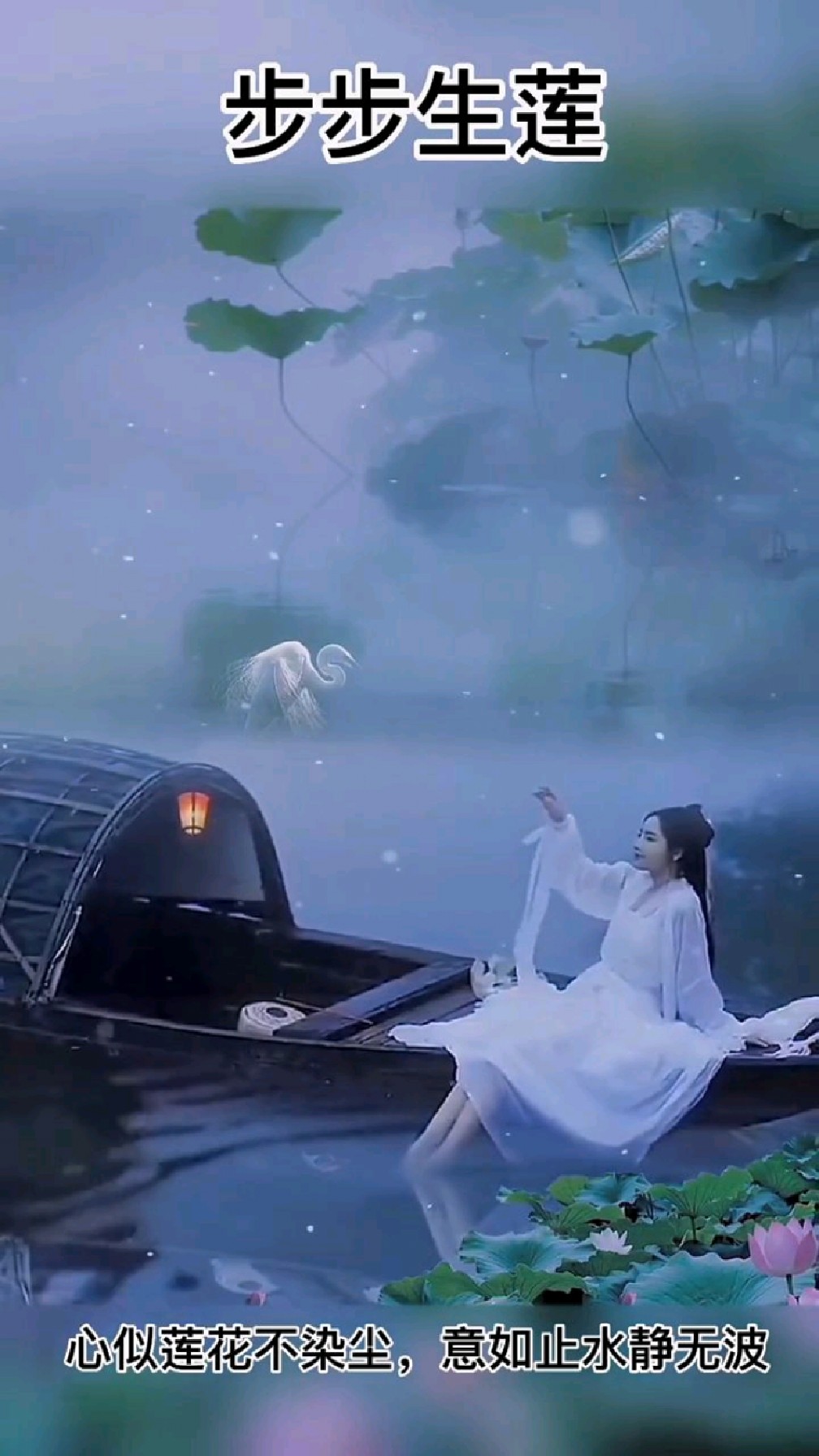 古筝演奏《步步生莲》纯音乐,治愈系风景