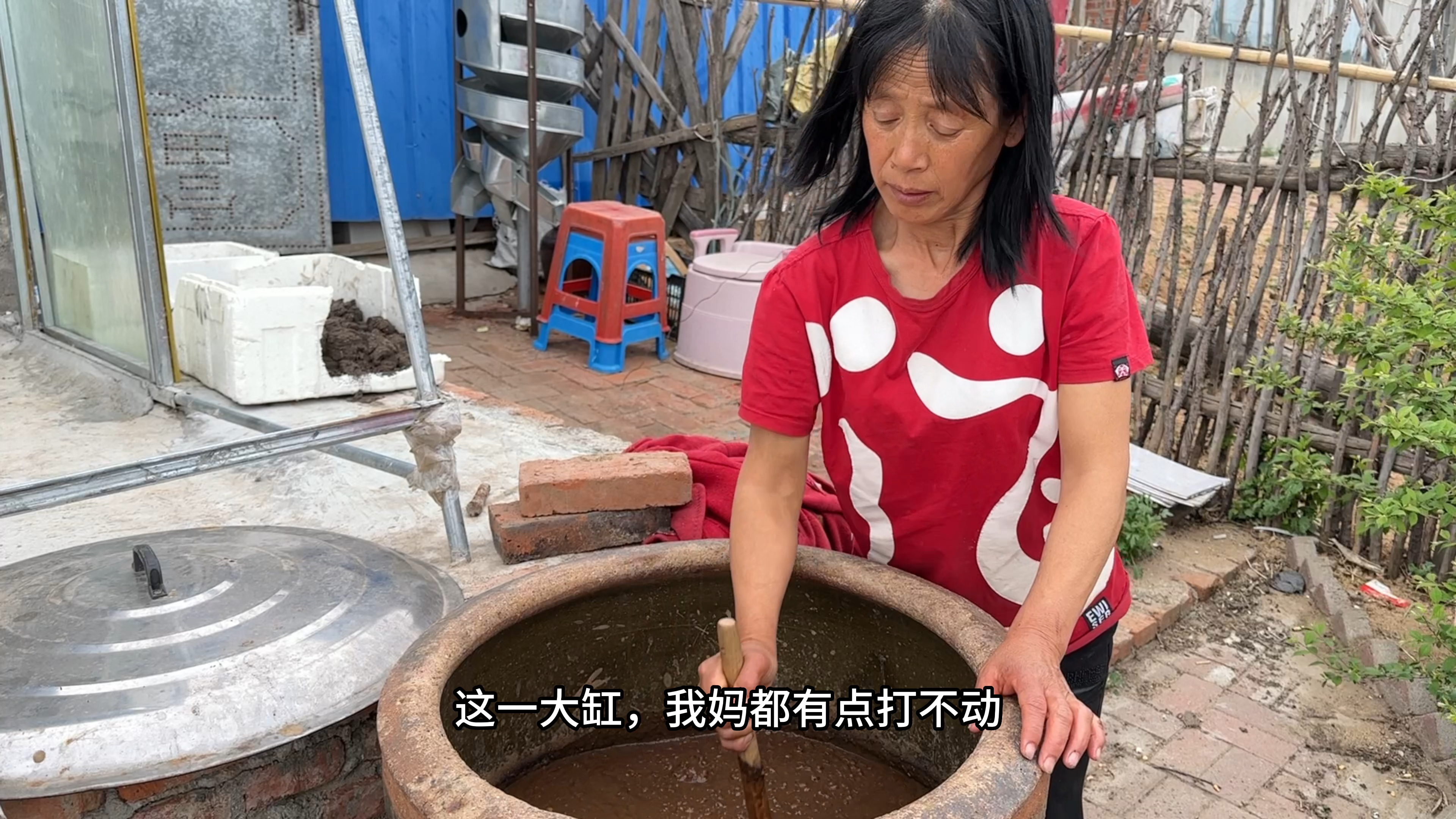 今年下酱块太多,打酱耙都费力,东北爸妈因为一道凉拌蕨菜吵嘴