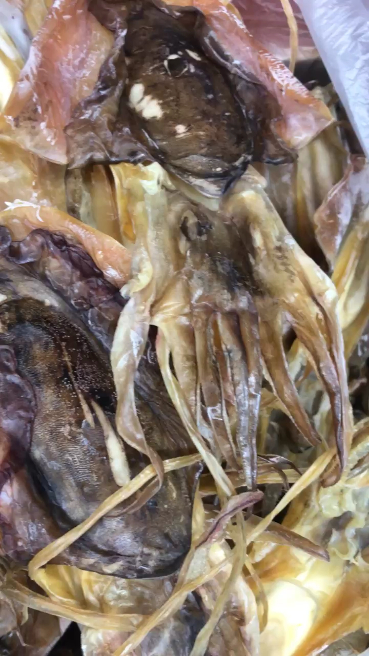 船晒墨鱼干,天然