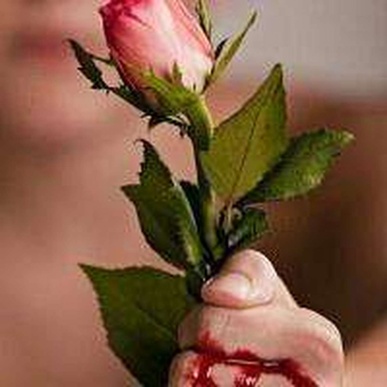 以前网上有一张很火的图片:一个人手握玫瑰花,手被刺流血了,但依旧没