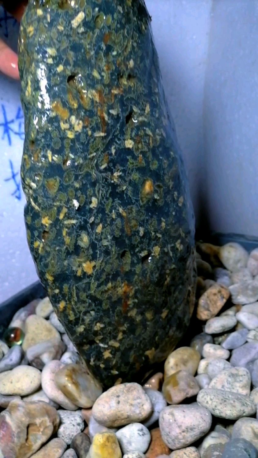 精品梅花石原石