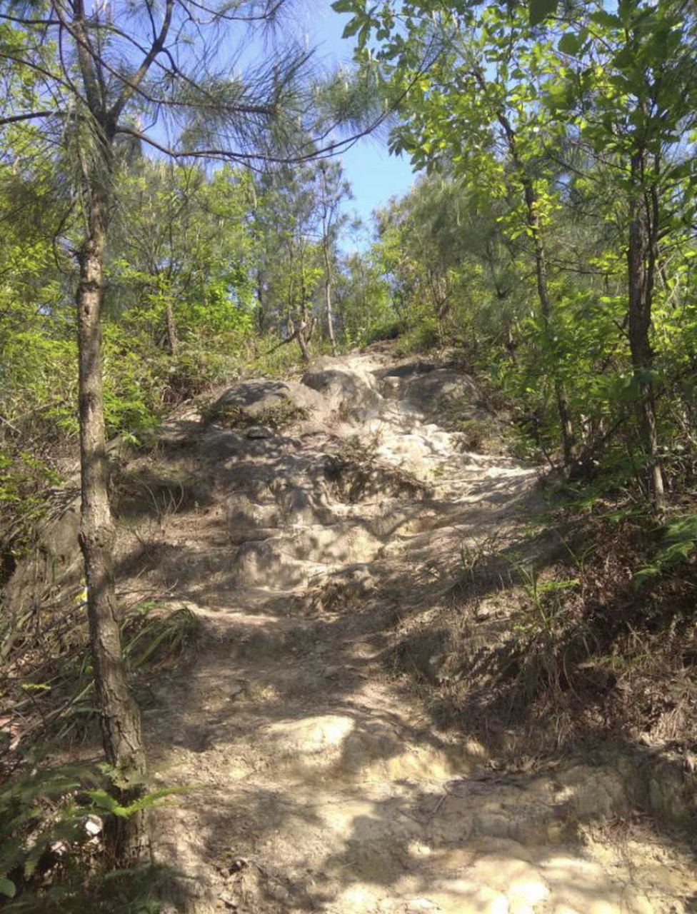 金剑山森林公园,位于重庆市璧山区,是一座以森林景观为主的山地公园.