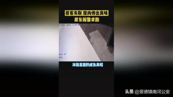 失踪的房客传奇故事失踪的房客-失踪的房客失踪的房客结局