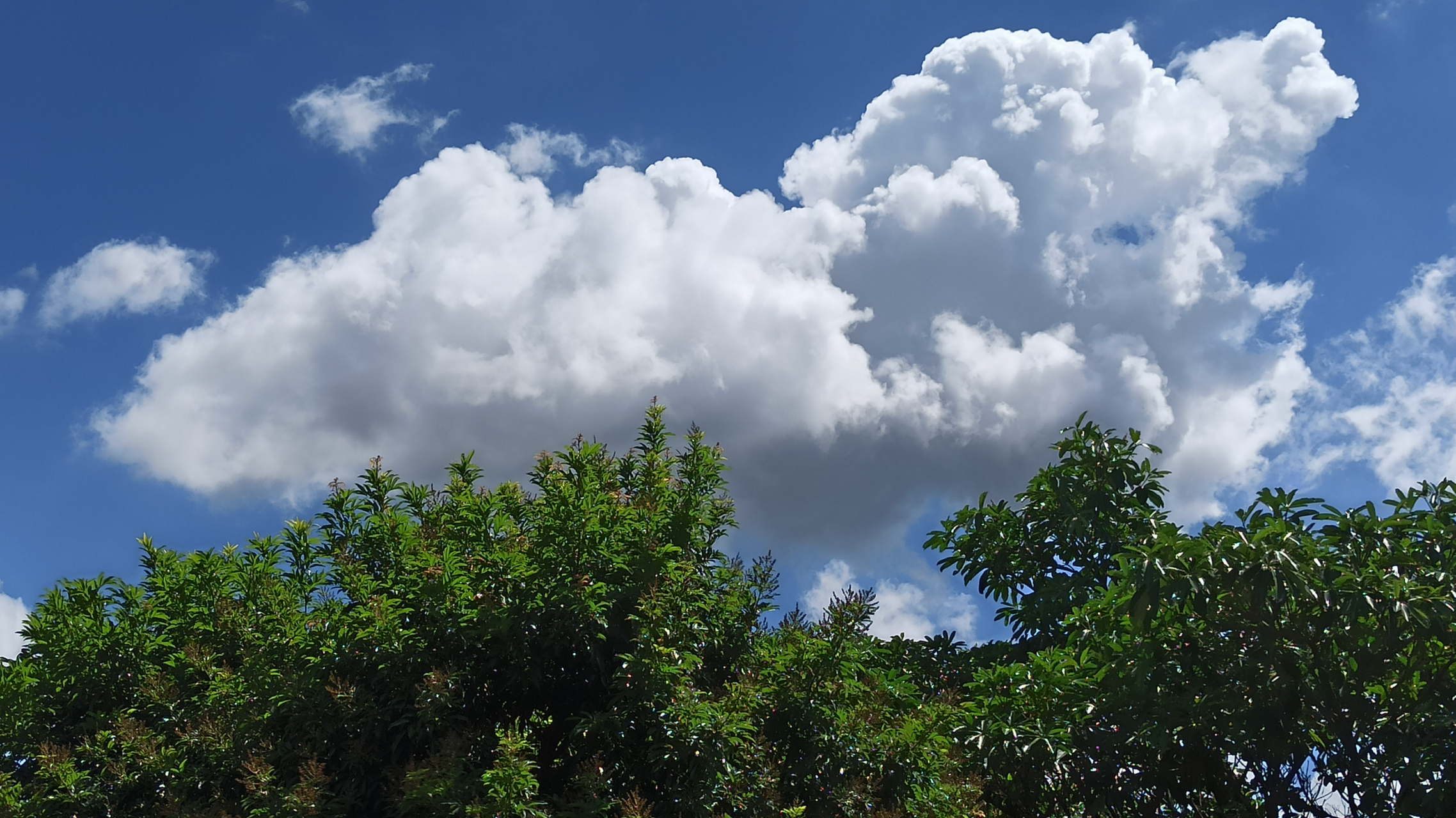 南方多雨的夏天,这样纯粹的蓝天白云,太难得一见了,你看这天空,谁会