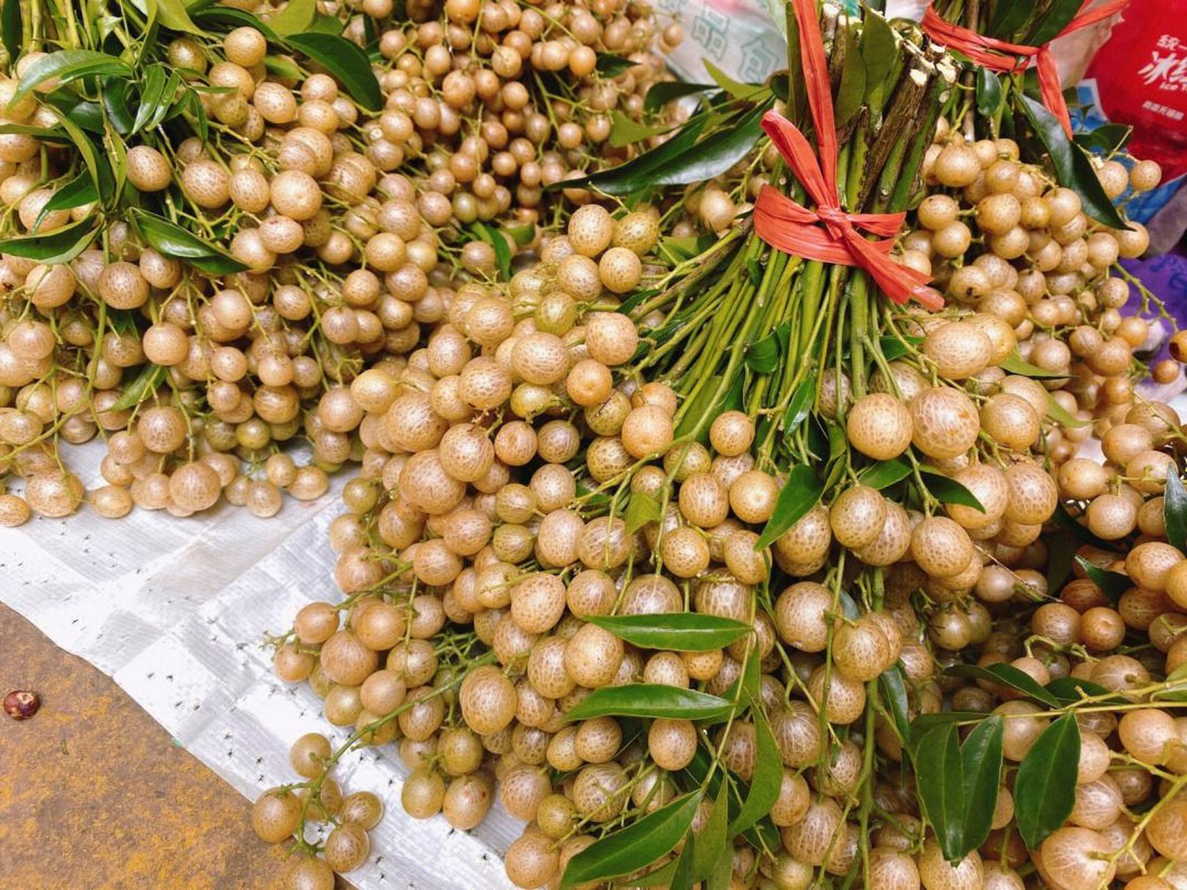 只有广西才有的山黄皮果与肉搭配,可以去除肉的腥臭味,使肉的香气更