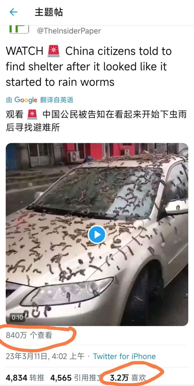 網友:西方媒體造謠中國街頭爆發蟲災,結果打開圖片一看,所謂的蟲子