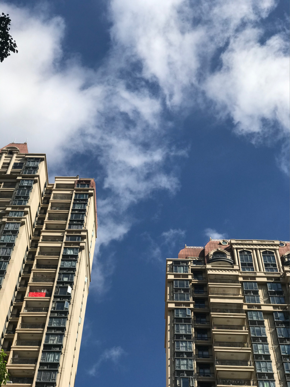 今天的天气真好[得意]