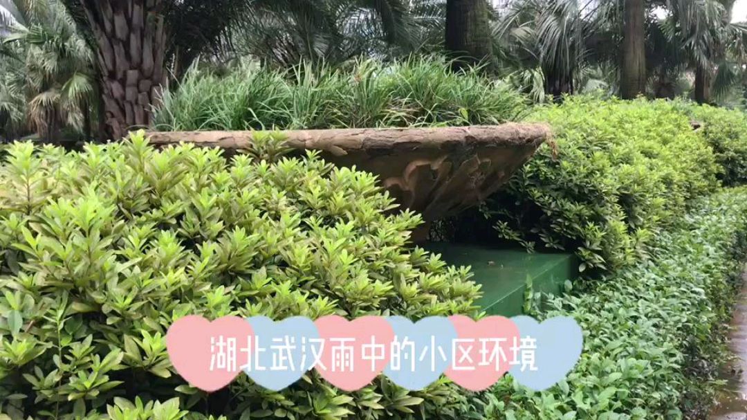 湖北武汉雨中的小区环境,绿色家园鱼儿戏水,体育设施真全