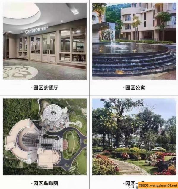深圳本月大项目，即将开启内测，公司2万平方，一栋楼，互助竞拍项目，第一个月扶持日收益3个点